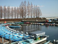 湖南漁業協同組合
